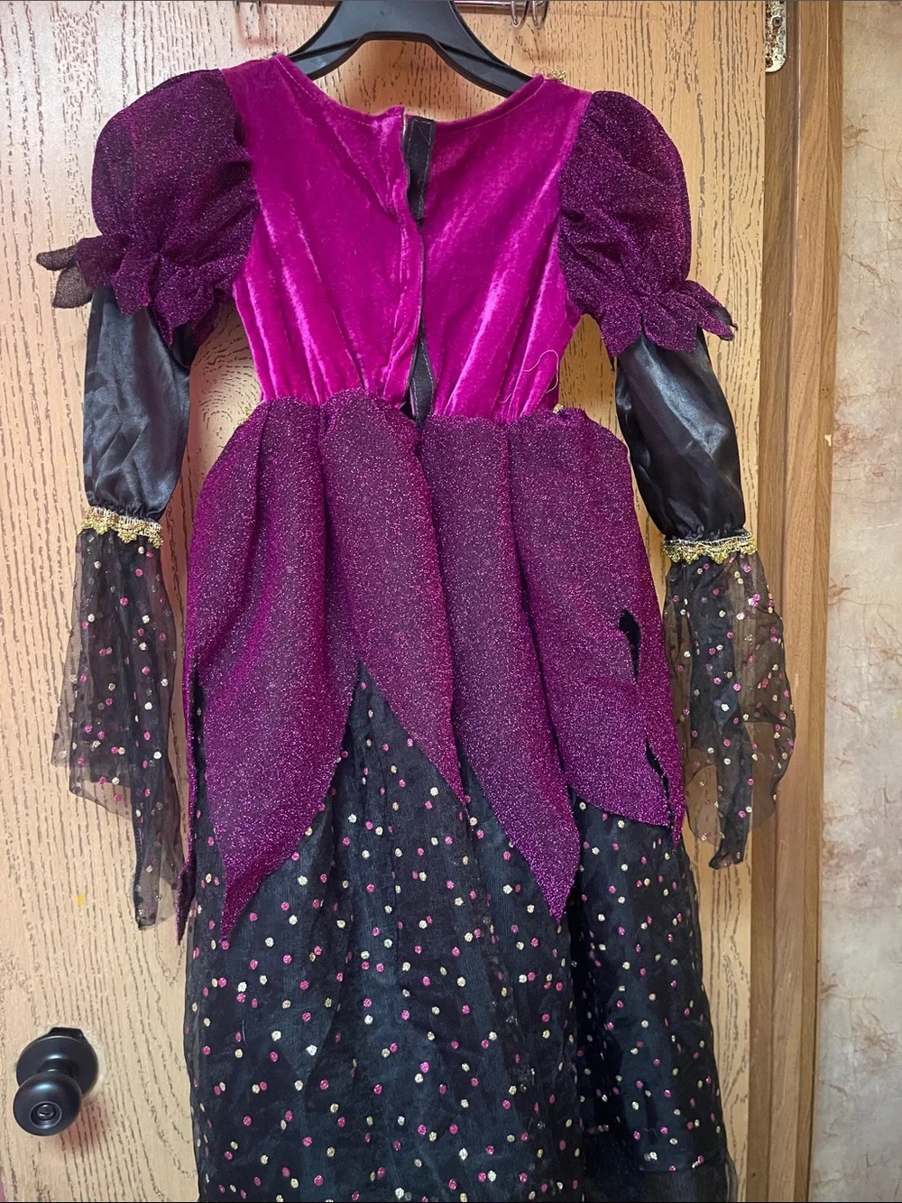 Kids Velvet Purple and Black Princess Costume Dress